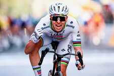 �g�� CORVOS_00038786-436.jpeg